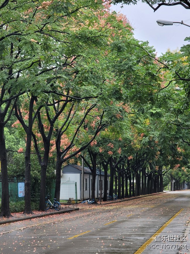 ?拍照真是越來越差，是攝像頭問題還是因?yàn)楦逻壿媶栴}？