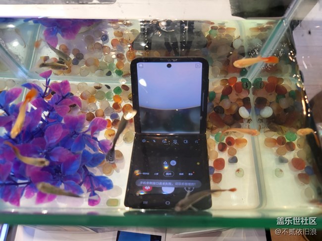 #三星快閃店打卡  西安星部落 Galaxy Z fold3＆Flip3 品鑒會