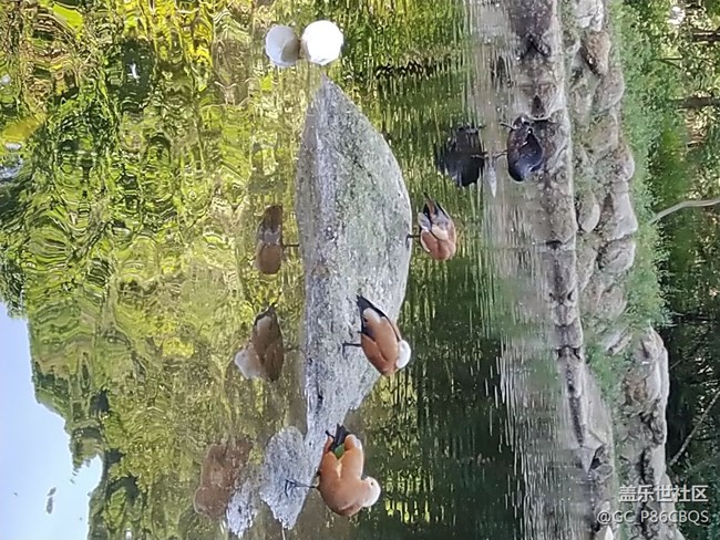 沈陽(yáng)星部落大冰溝行攝活動(dòng)回顧