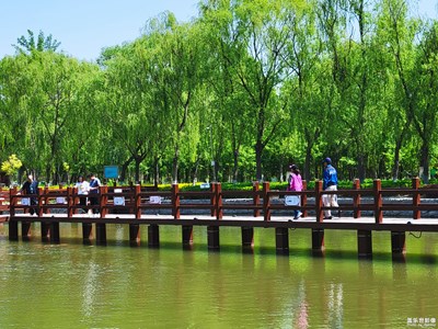 已開獎【蓋樂世影像周賽第209期】——旅行志