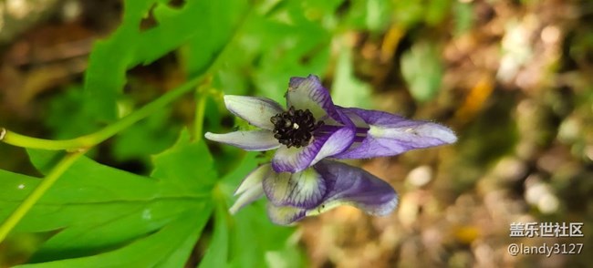 12日本溪大冰溝一日游