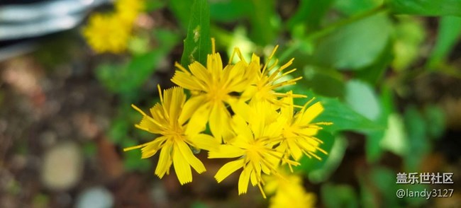 12日本溪大冰溝一日游