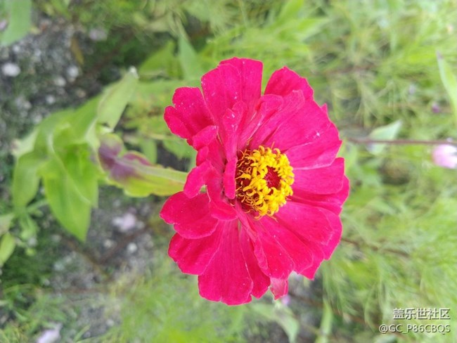 沈陽(yáng)星部落大冰溝行攝活動(dòng)回顧