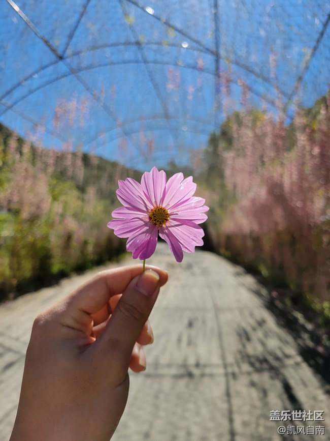 本溪一日風(fēng)光攝影活動(dòng)回顧貼