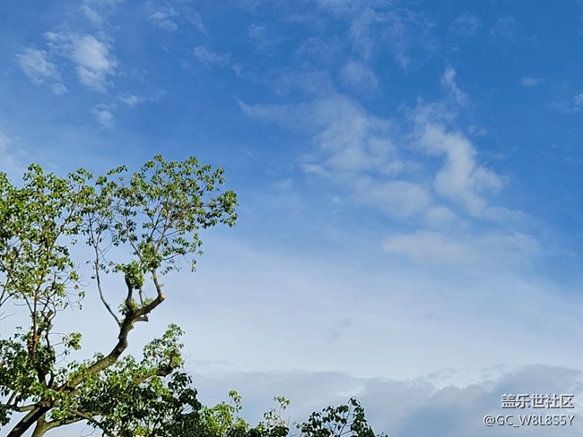 #初秋時節(jié)——秋日的天空