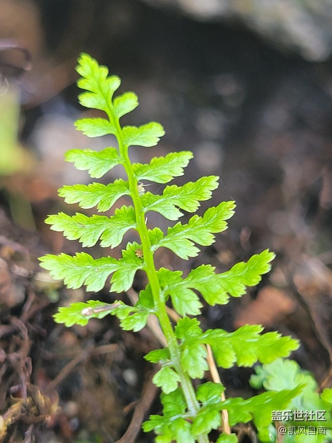 本溪一日風(fēng)光攝影活動(dòng)回顧貼