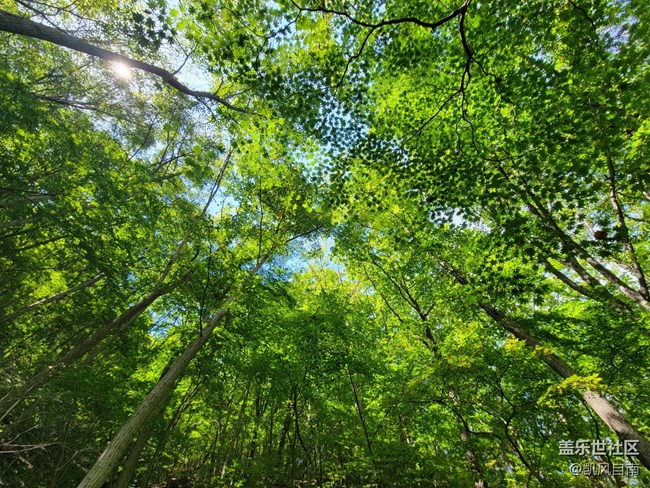 本溪一日風(fēng)光攝影活動(dòng)回顧貼