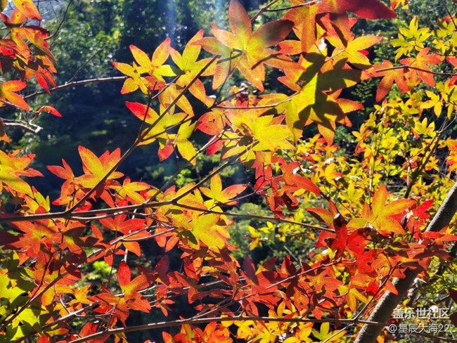 #初秋時節(jié)——秋天了來