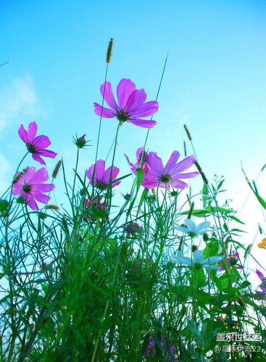 #初秋時節(jié)——秋天了來