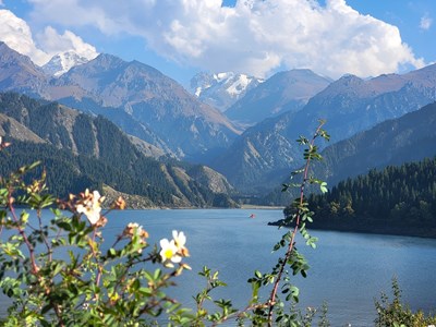 [隨走隨拍]＋初秋的天池