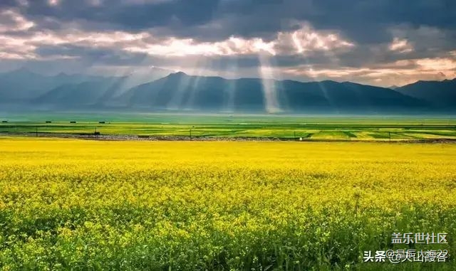 #初秋時節(jié)——秋天了來