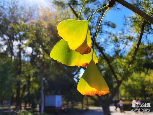 #初秋時節(jié)——秋色宜人