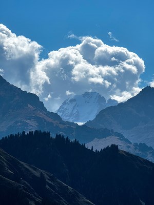 【隨走隨拍】＋遇見真好