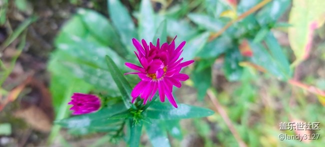 大冰溝一日游記 大冰溝一日游記