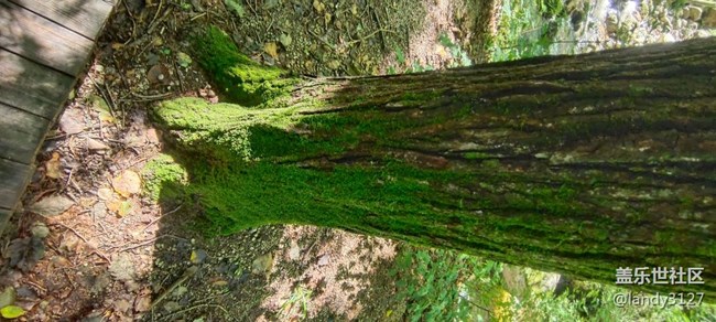 大冰溝一日游記 大冰溝一日游記