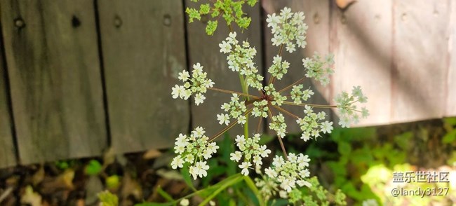 大冰溝一日游記 大冰溝一日游記