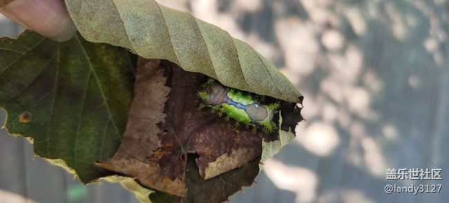 大冰溝一日游記 大冰溝一日游記