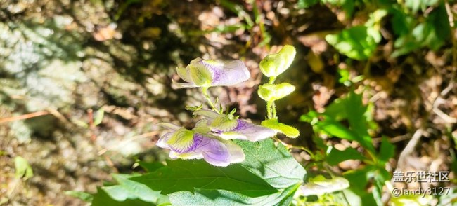 大冰溝一日游記 大冰溝一日游記