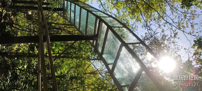 大冰溝一日游記 大冰溝一日游記