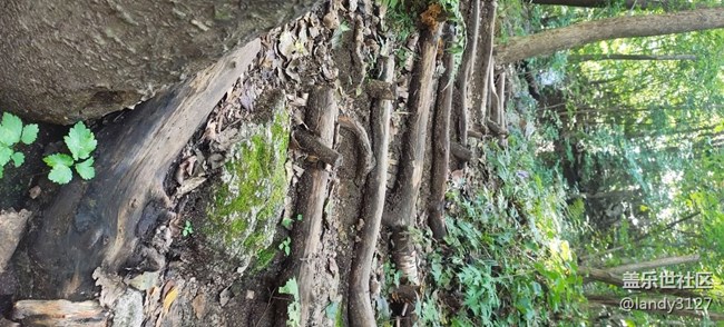 大冰溝一日游記 大冰溝一日游記