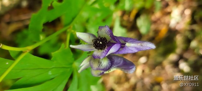 本溪大冰溝一日游
