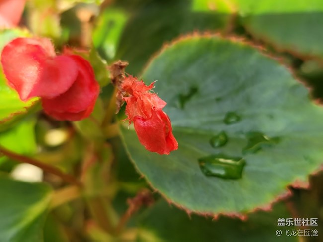 #初秋時(shí)節(jié)——雨后