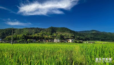 【隨走隨拍】鄉(xiāng)愁