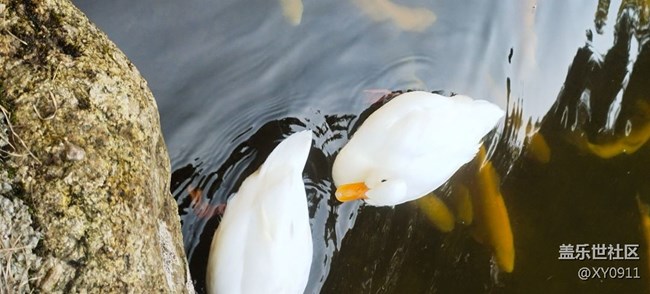 本溪大冰溝一日游