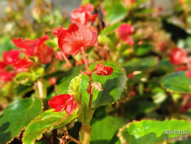 #初秋時(shí)節(jié)——雨后