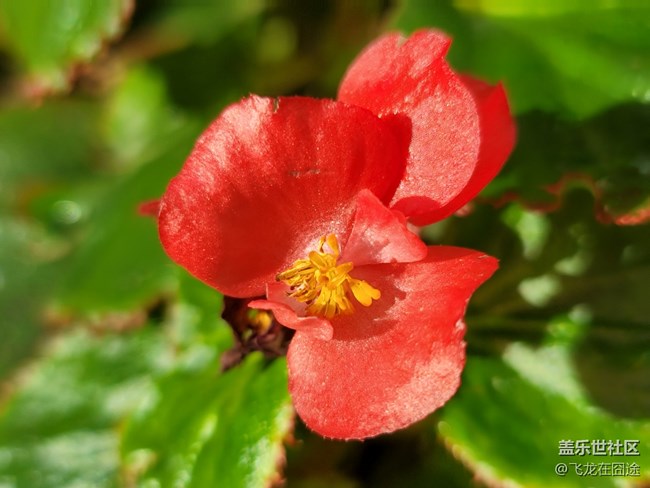 #初秋時(shí)節(jié)——雨后