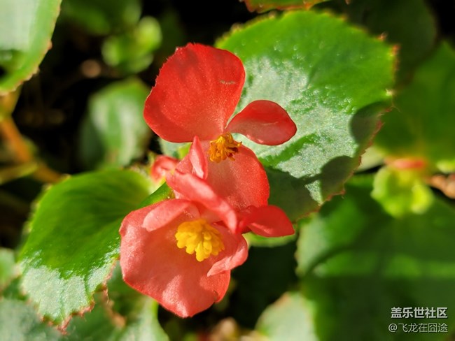 #初秋時(shí)節(jié)——雨后