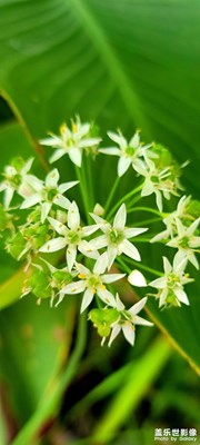 【隨走隨拍】 遇見美好