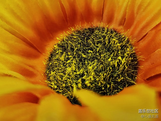 Galaxy Z Fold3| Flip3 5G品鑒會北京站活動花絮