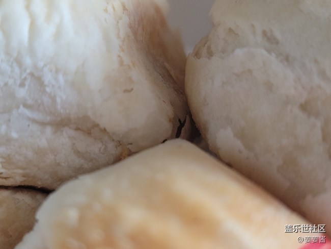 #中秋——蘇式鮮肉月餅