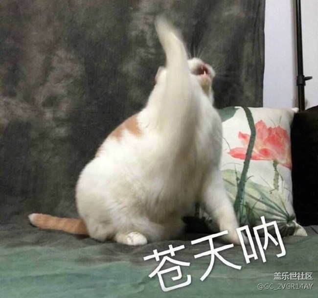 球球了 星鉆直接兌換字體好不好?(????)?