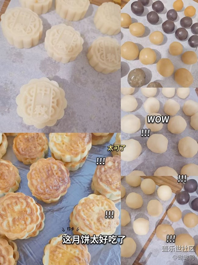 【工作＆學(xué)習(xí)】學(xué)習(xí)小展示