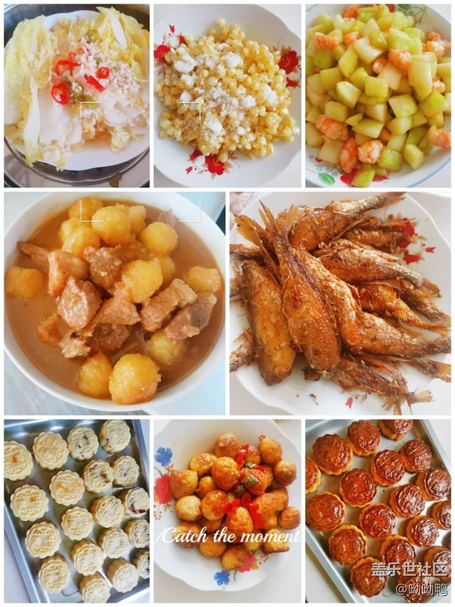 【工作＆學(xué)習(xí)】學(xué)習(xí)小展示