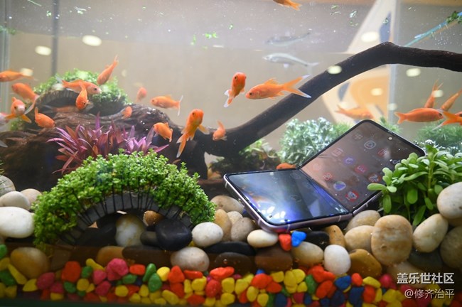 Galaxy Z Fold3| Flip3 5G品鑒會(huì)-北京站 回顧