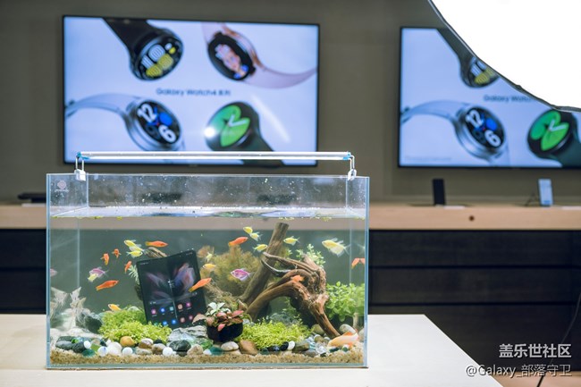 Galaxy Z Fold3&Flip3全國品鑒之旅上海站花絮篇