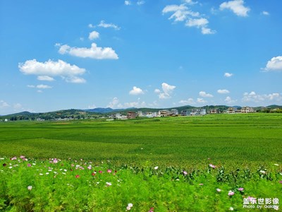 靜美山鄉(xiāng)