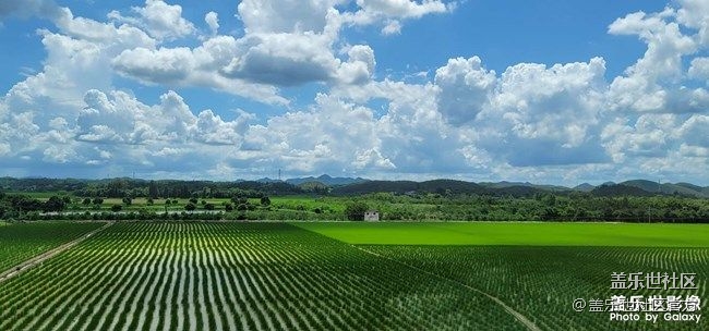 《每周星鮮事》 第81期:加入Z尊享匯 抽盲盒贏豐厚好禮!