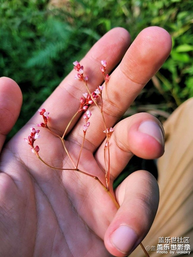 《每周星鮮事》 第81期:加入Z尊享匯 抽盲盒贏豐厚好禮!