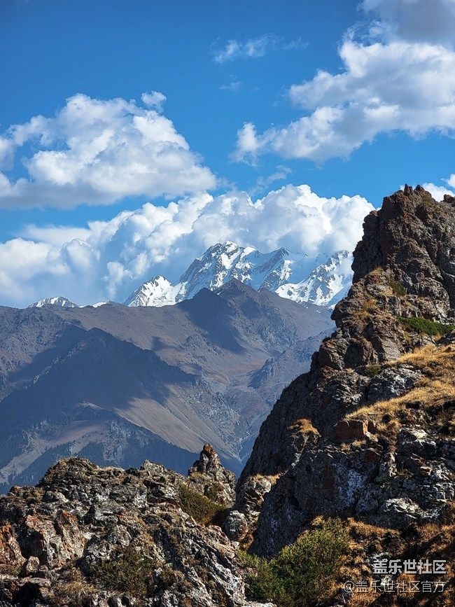 《每周星鮮事》 第81期:加入Z尊享匯 抽盲盒贏豐厚好禮!