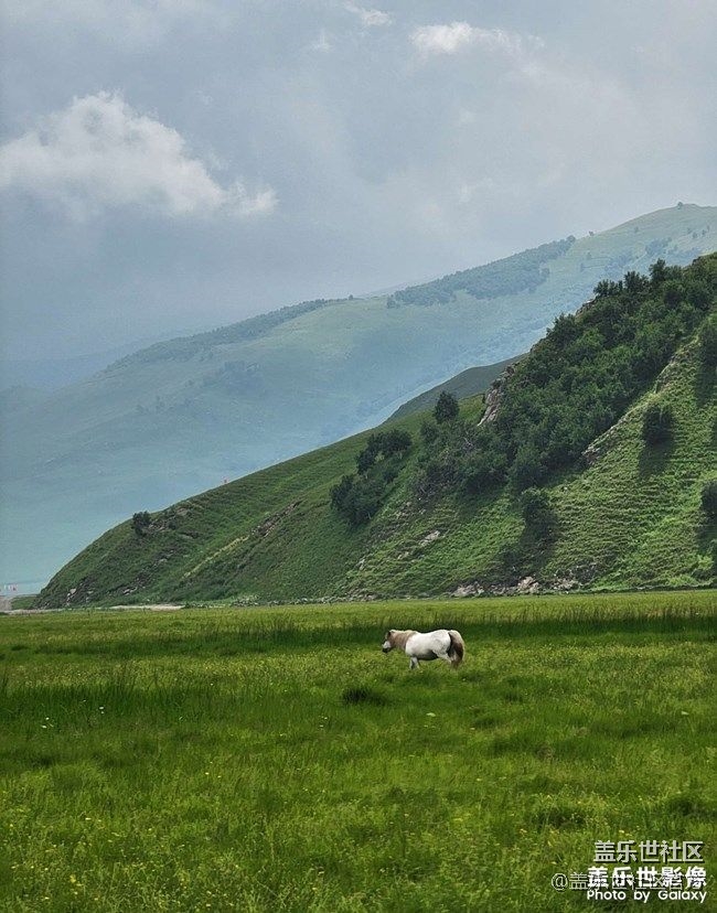 《每周星鮮事》 第81期:加入Z尊享匯 抽盲盒贏豐厚好禮!