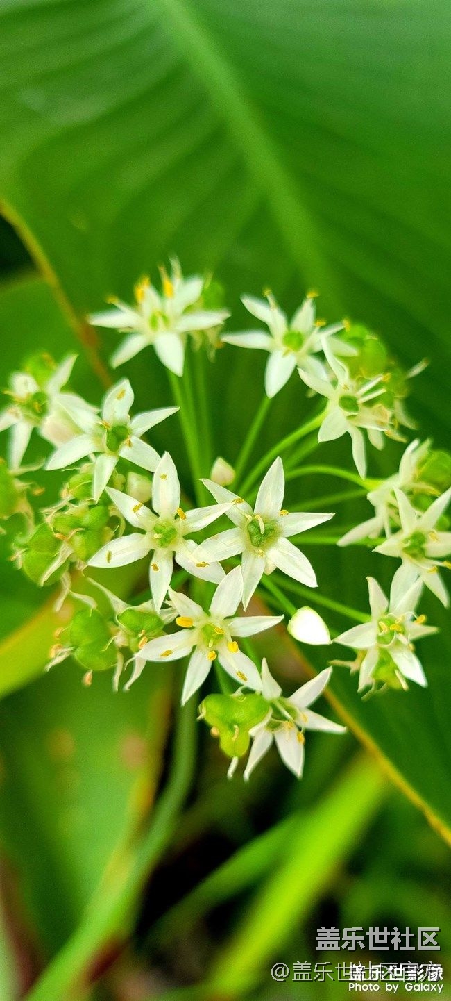 《每周星鮮事》 第81期:加入Z尊享匯 抽盲盒贏豐厚好禮!