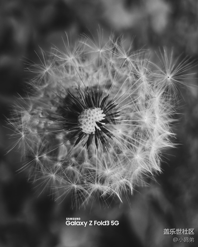 已開(kāi)獎(jiǎng)#第二期西部大區(qū)線上活動(dòng)【遇見(jiàn)，美好！】