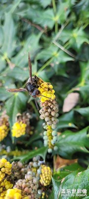國慶一日游