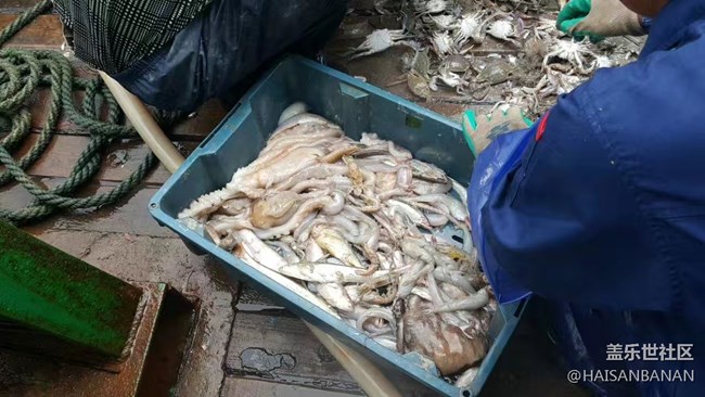 【國慶游記分享】