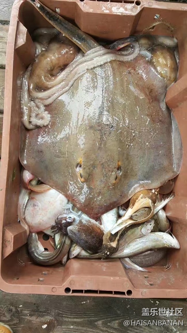 【國慶游記分享】