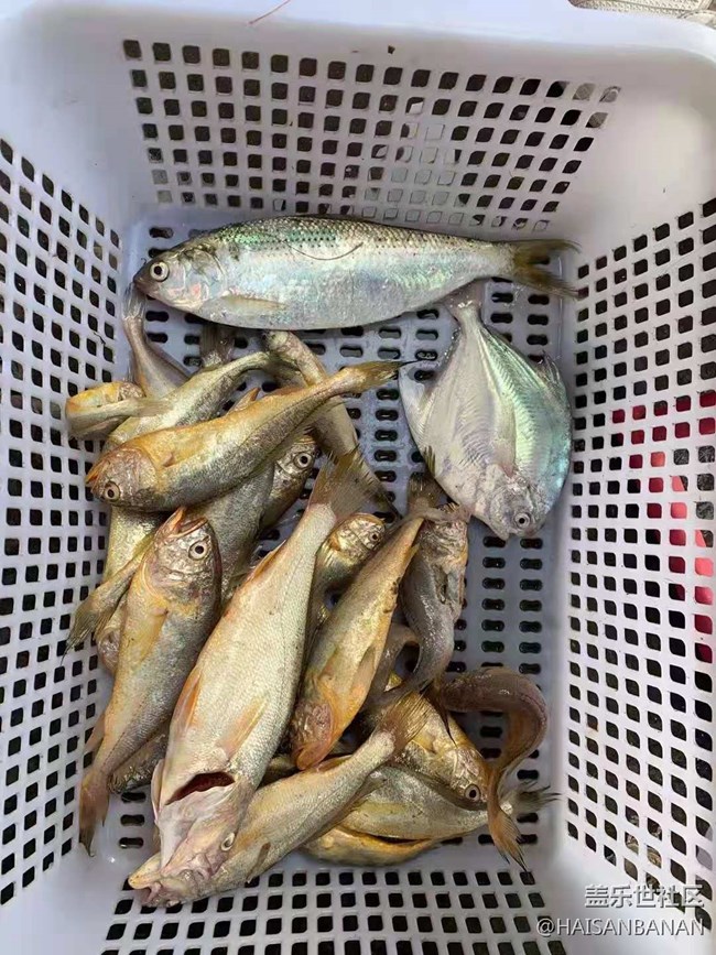 【國慶游記分享】